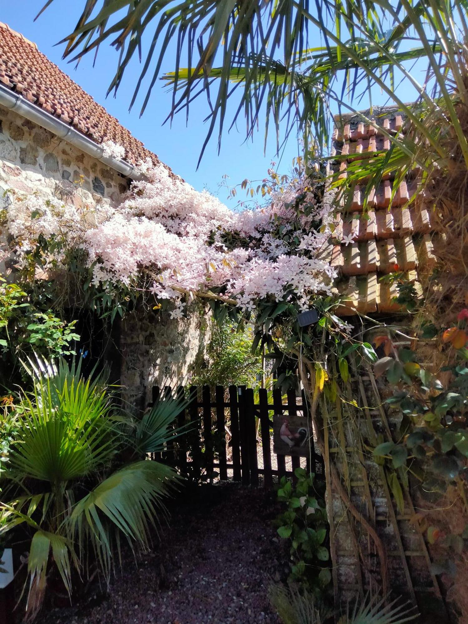 Les Deux Moulins Appartement *